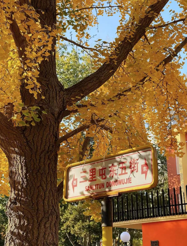 老舍笔下“北平之秋便是天堂”，美得一塌糊涂，附赏秋攻略！秋天一定要来一趟北京-背包猫