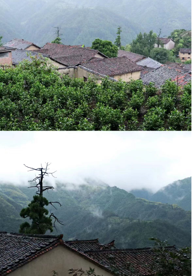 比起杭州，我更爱这个浙西南小城，称为“浙江绿谷”，丽水真的太美了！插图11