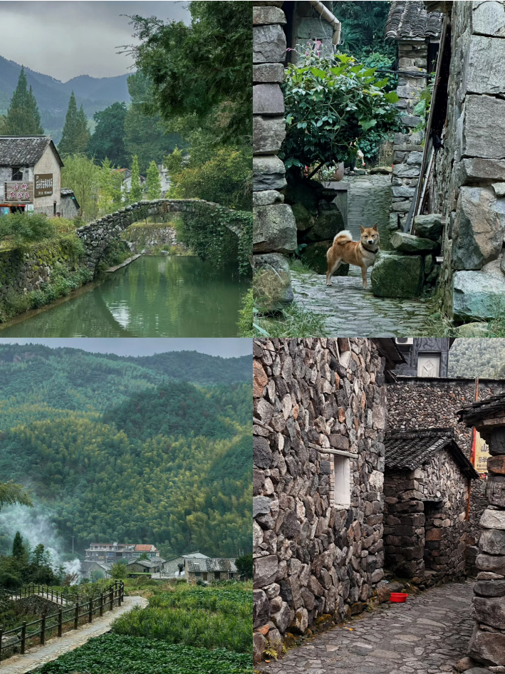 比起杭州，我更爱这个浙西南小城，称为“浙江绿谷”，丽水真的太美了！插图12