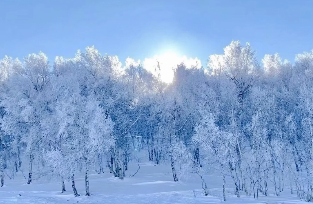 这里堪称冬天雪景天花板，长达五个月的冬季的乌兰布统-背包猫