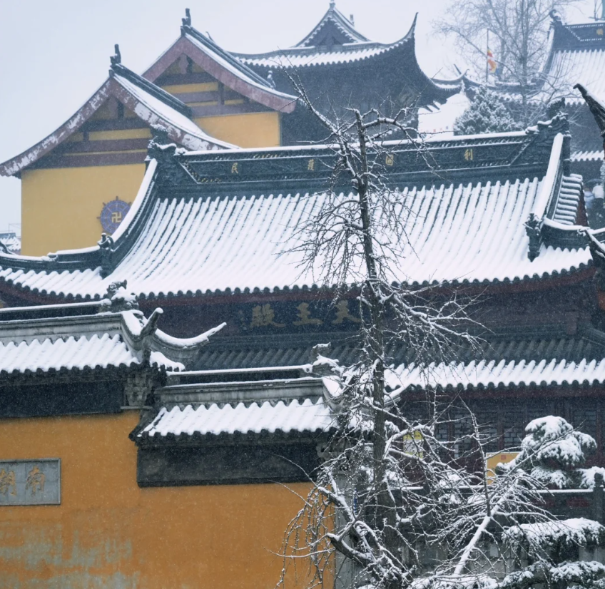 一下雪，南京就美成了金陵！插图10