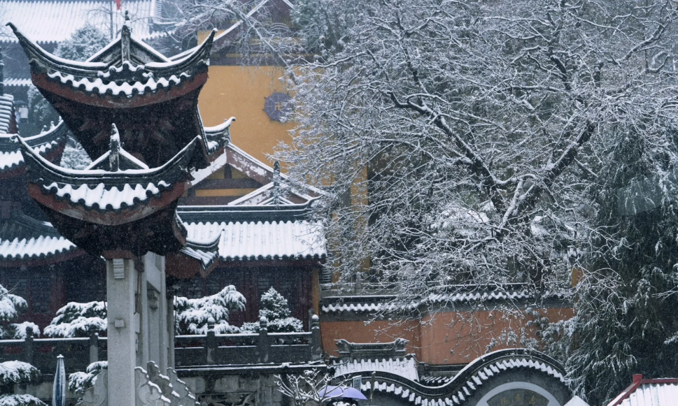 一下雪，南京就美成了金陵！插图11