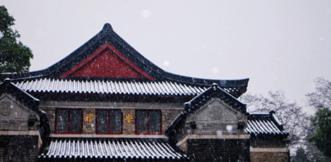 一下雪，南京就美成了金陵！插图13