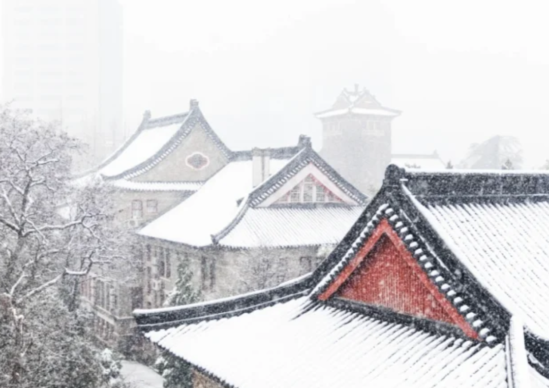 一下雪，南京就美成了金陵！插图14