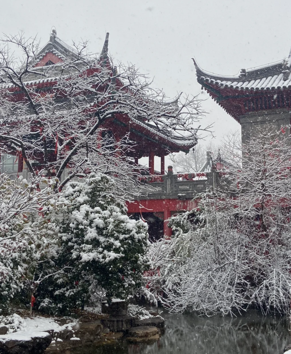 一下雪，南京就美成了金陵！插图19