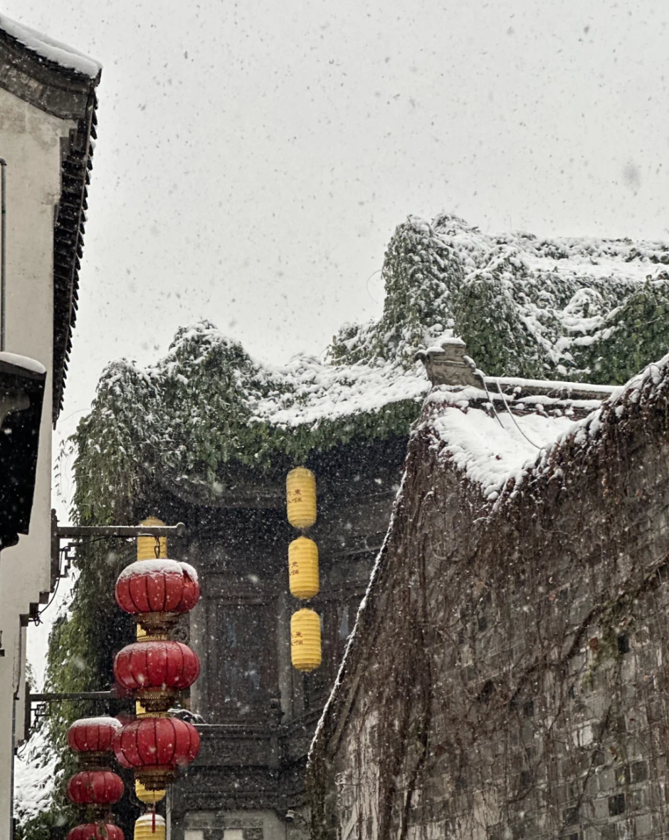 一下雪，南京就美成了金陵！插图20