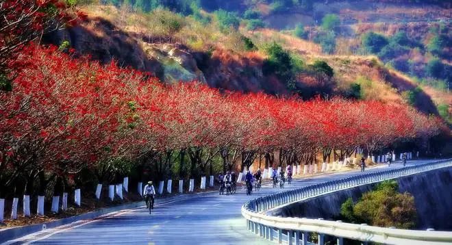 中国唯一以“花”命名的城市：没有冬天，均温20℃！不输昆明，比三亚便宜巨多，“避寒”天花板，此生必去插图4