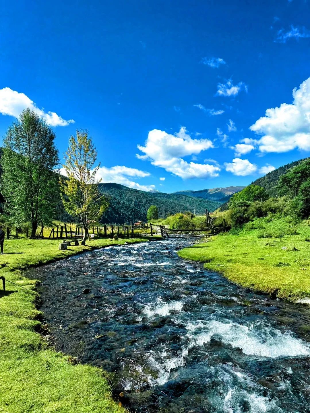 以为四姑娘山已经很美了，直到来到了这里插图2