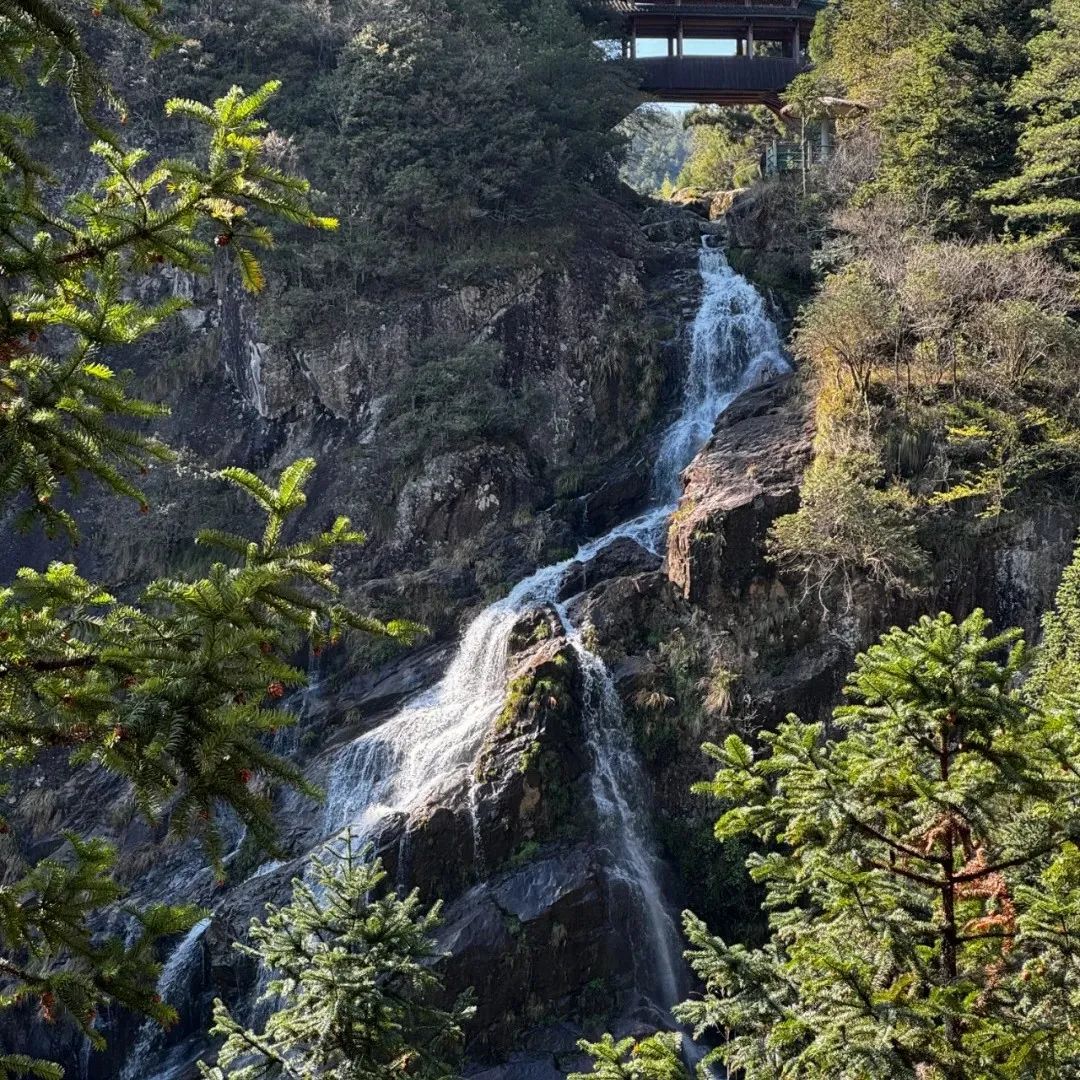 夏天均温23℃，这座被央视挖掘的江南小城，比乌镇古朴，比杭州好吃，值得打卡100次！插图21