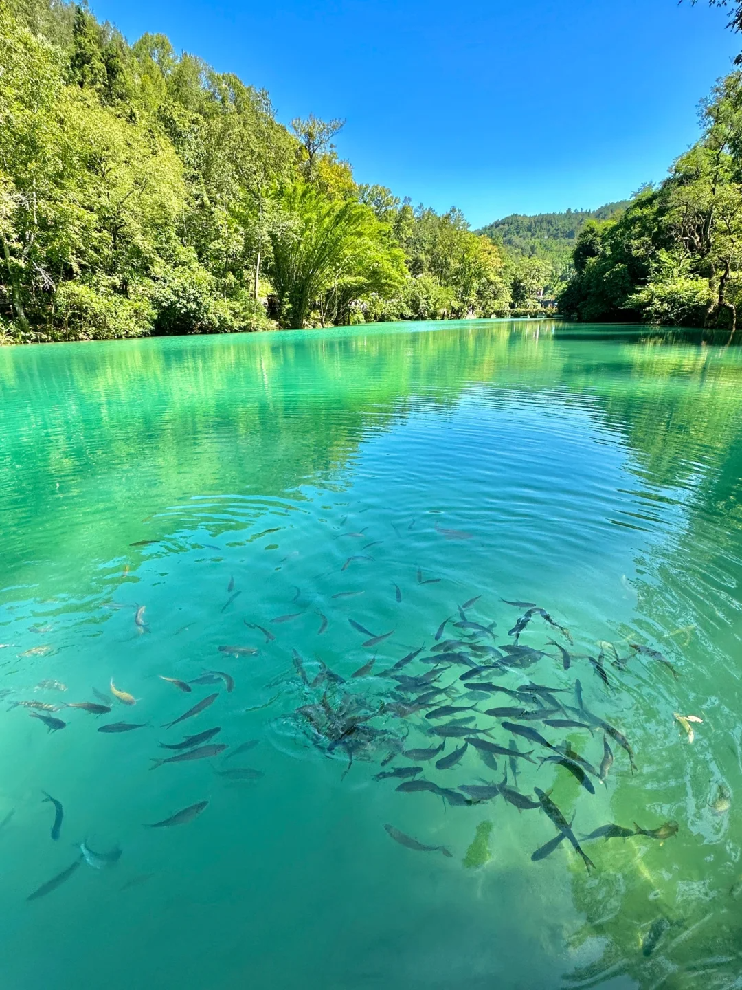 最值得去的避暑胜地，不扎堆不拥挤，比空调屋还凉快，随便挑一个去过25℃的夏天！插图4