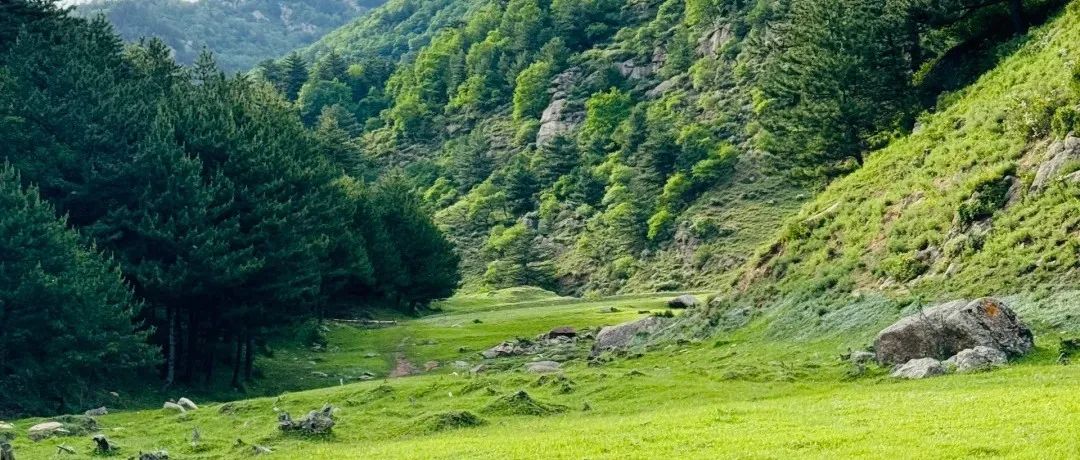 小众免费的冷门城市，这里隐藏着千年古村落，金庸《碧血剑》在此诞生！插图17